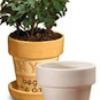 Plant pot